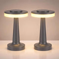 Riakrum 2 Pcs LED Cordless Table Lamp Bulk Rechargeable,Gray