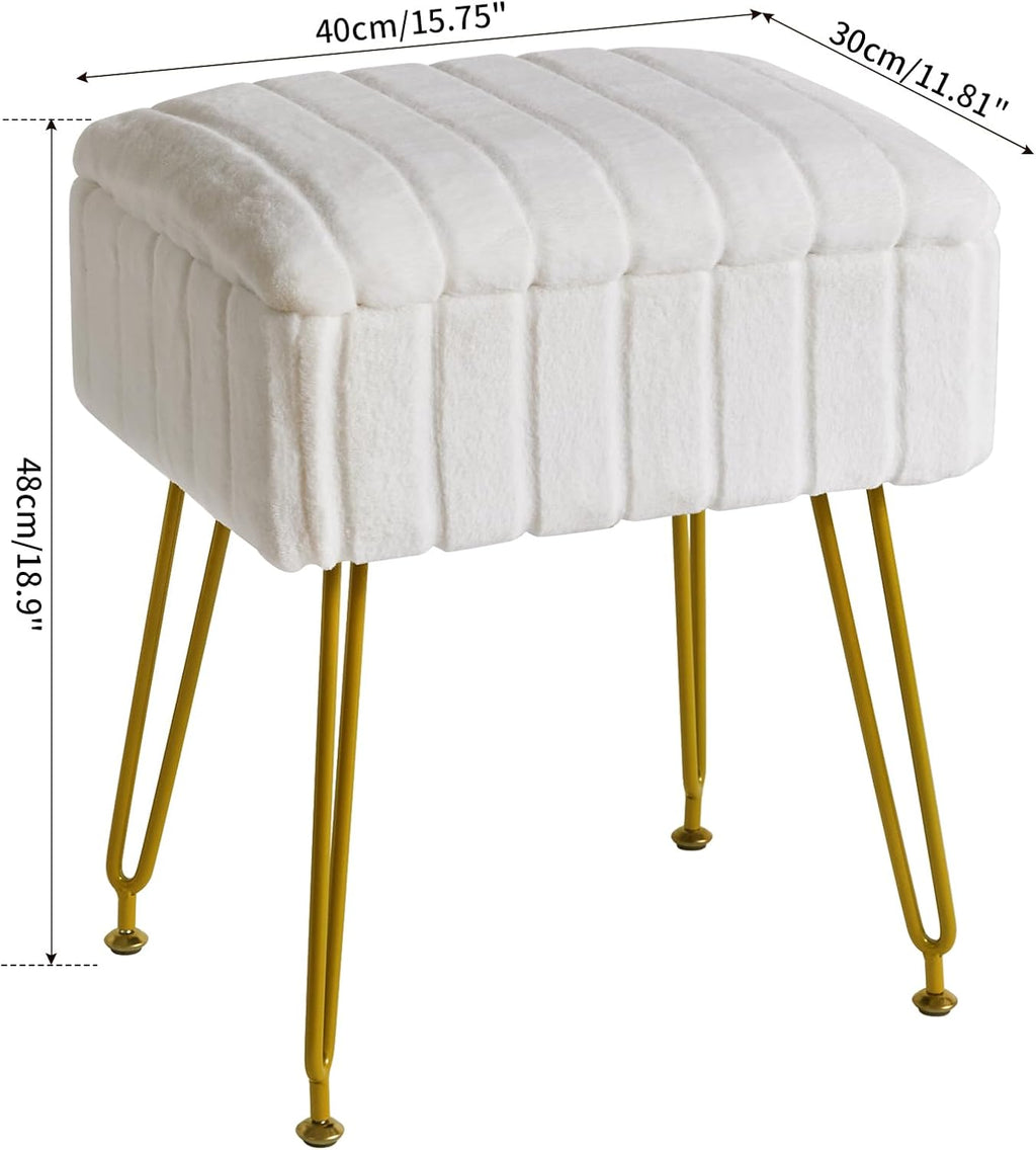 IBUYKE Vanity Chair with Storage, Faux Fur Footrest Ottoman, White LG-50W