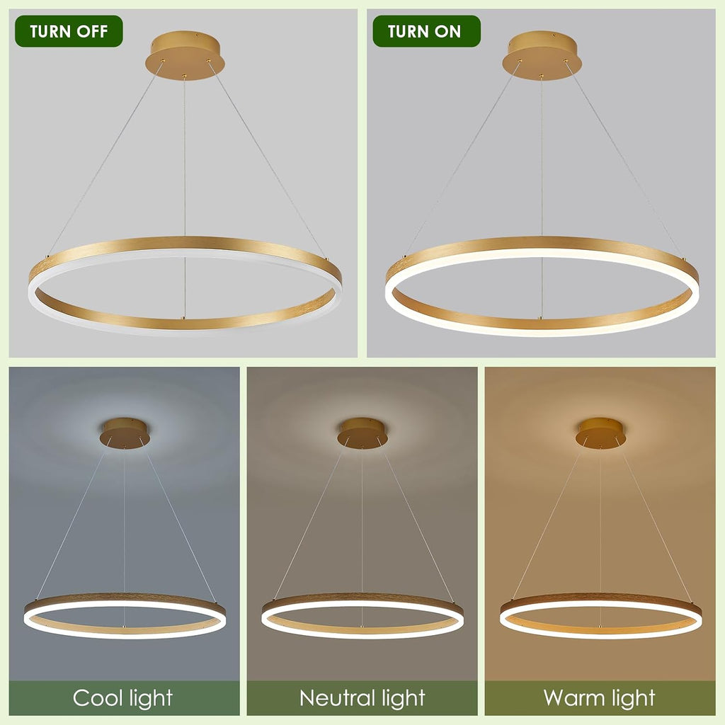 Benkut D24in Modern LED Ring Chandelier Gold Pendant Light with Remote