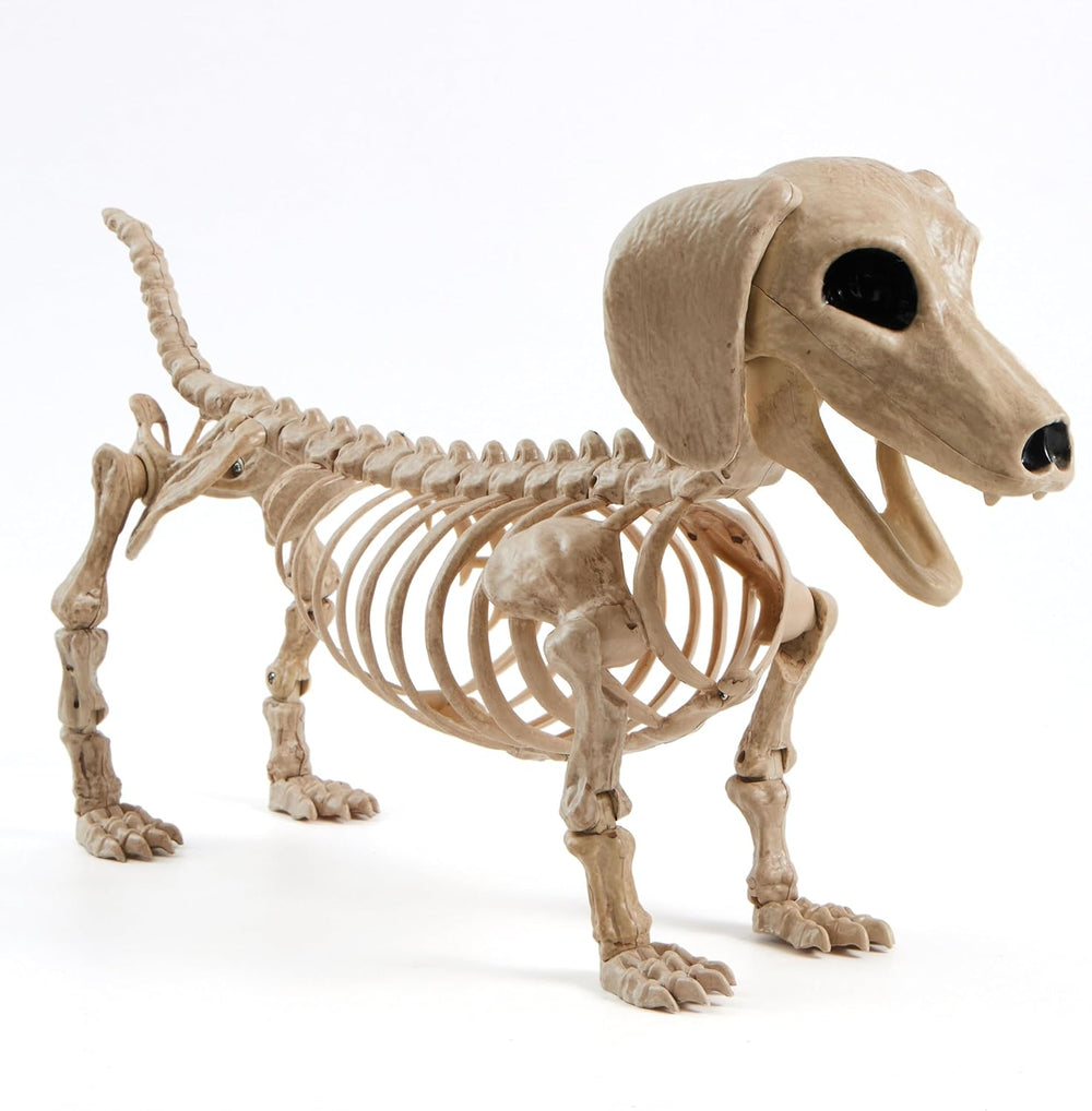 JOYIN Wiener Dog Skeleton 24” Plastic Animal Posable Skeleton Halloween Decor...
