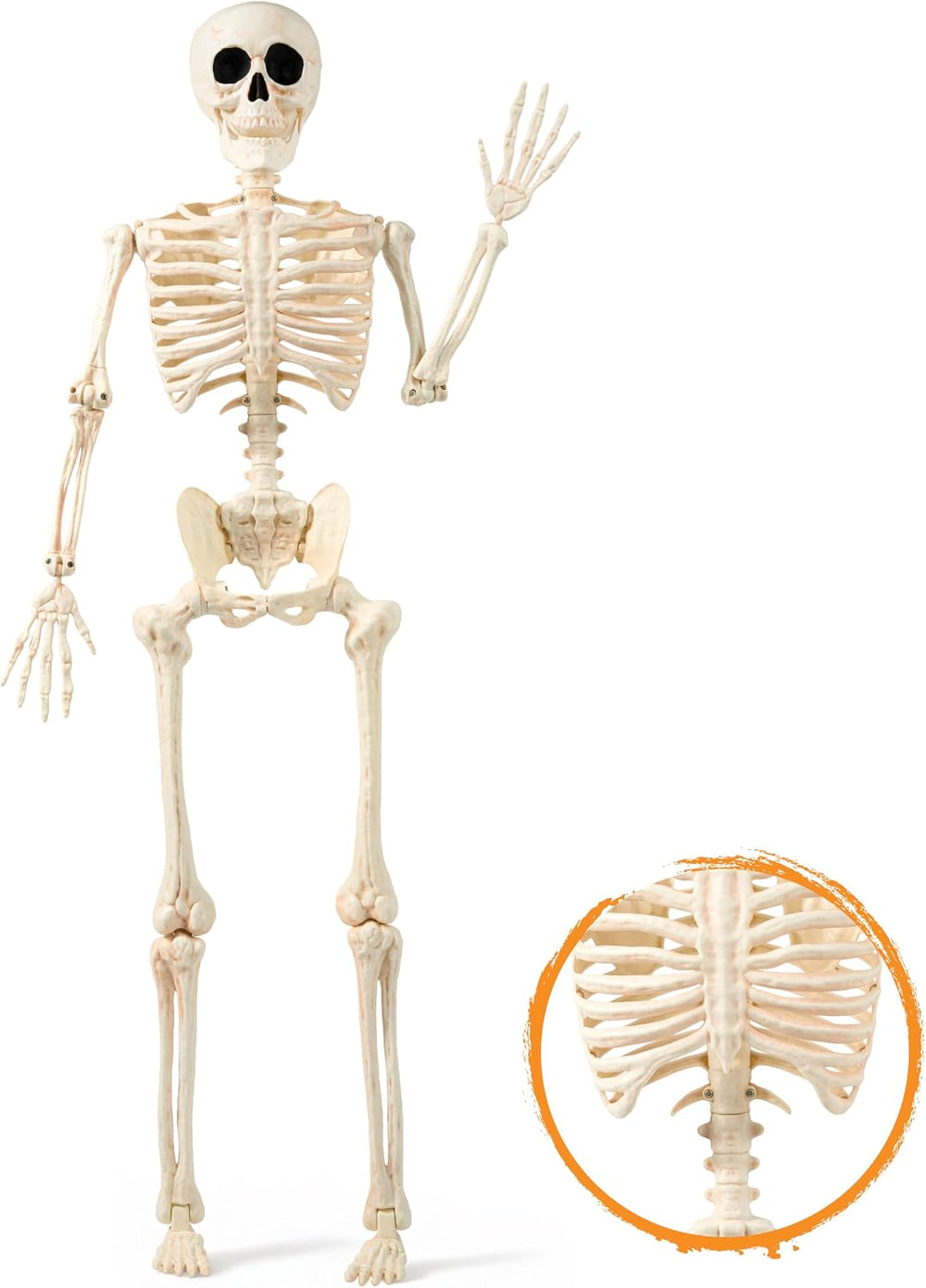 JOYIN 36" Halloween Skeleton Decor, 3FT Full Body Realistic Bones with S...
