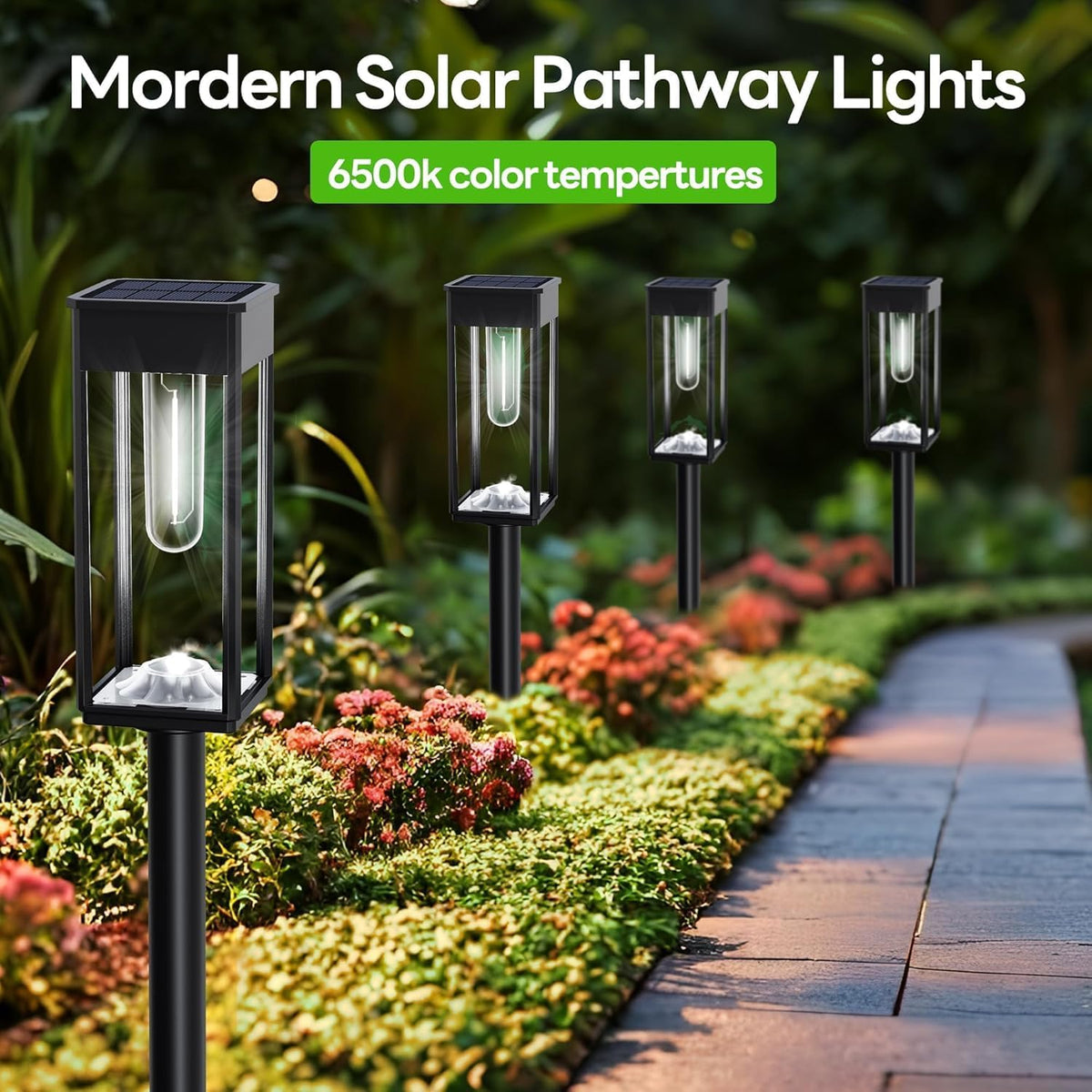 COXSENI Solar Path Lights Outdoor Waterproof 6500K Cool White, 6 Pack