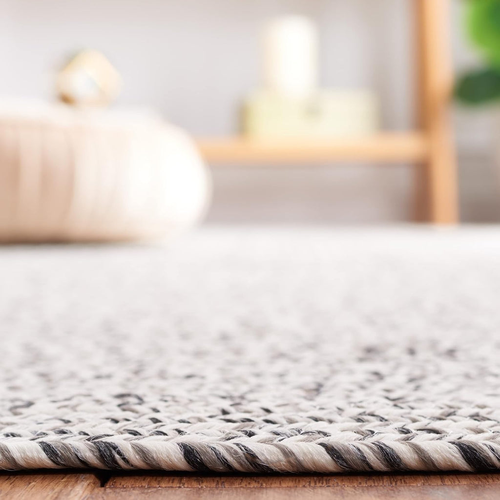 SAFAVIEH Braided Indoor/Outdoor Accent Rug 3x5, Grey & Ivory BRA201F
