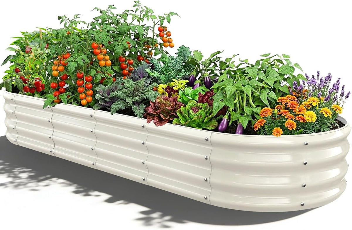 White Oval Raised Garden Bed / Galvanized Steel Planter Box,6 x 2 x 1FT