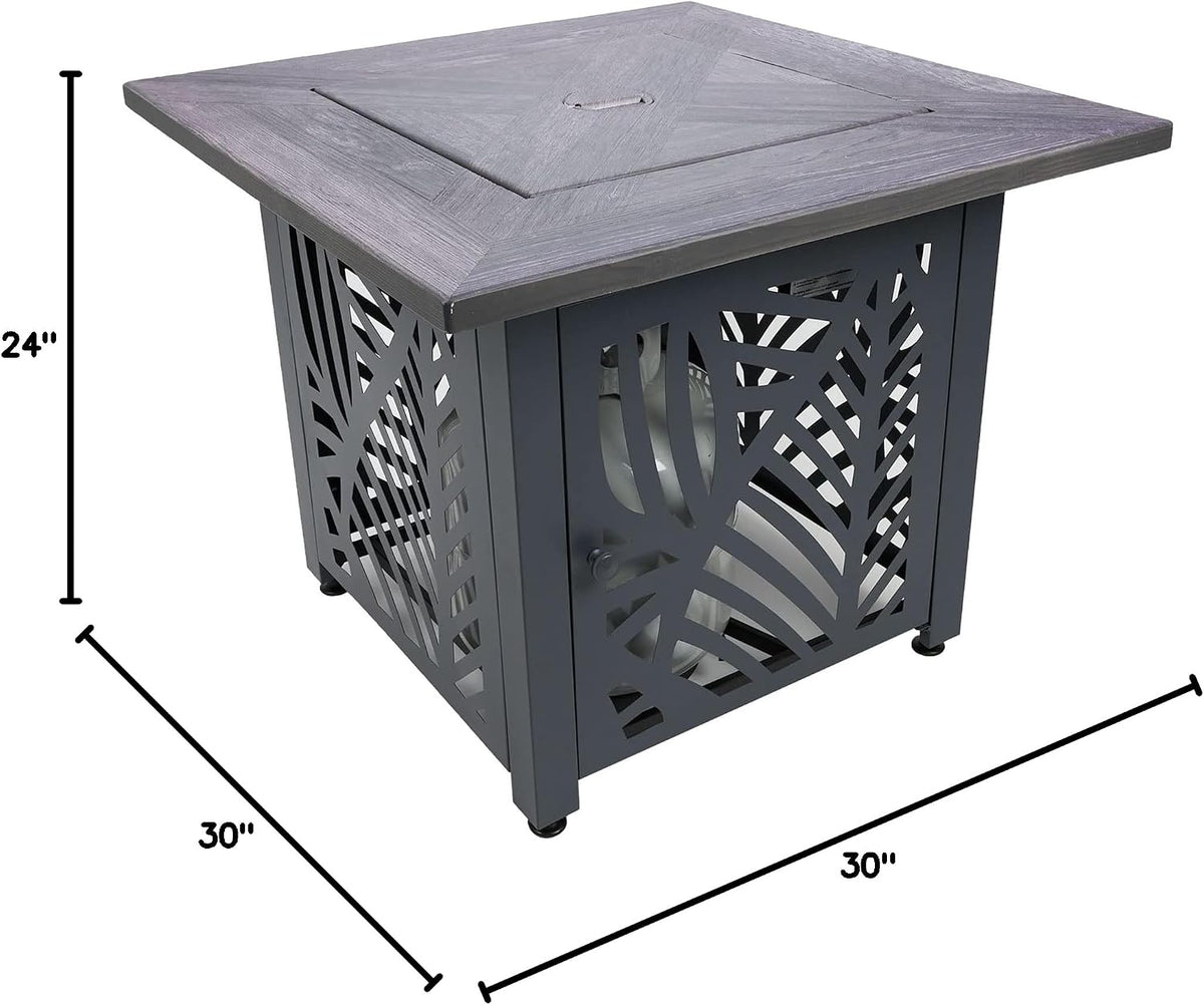 Endless Summer Lindsey 30 in LP Gas Fire Pit Table, Steel Base, GAD15318ES