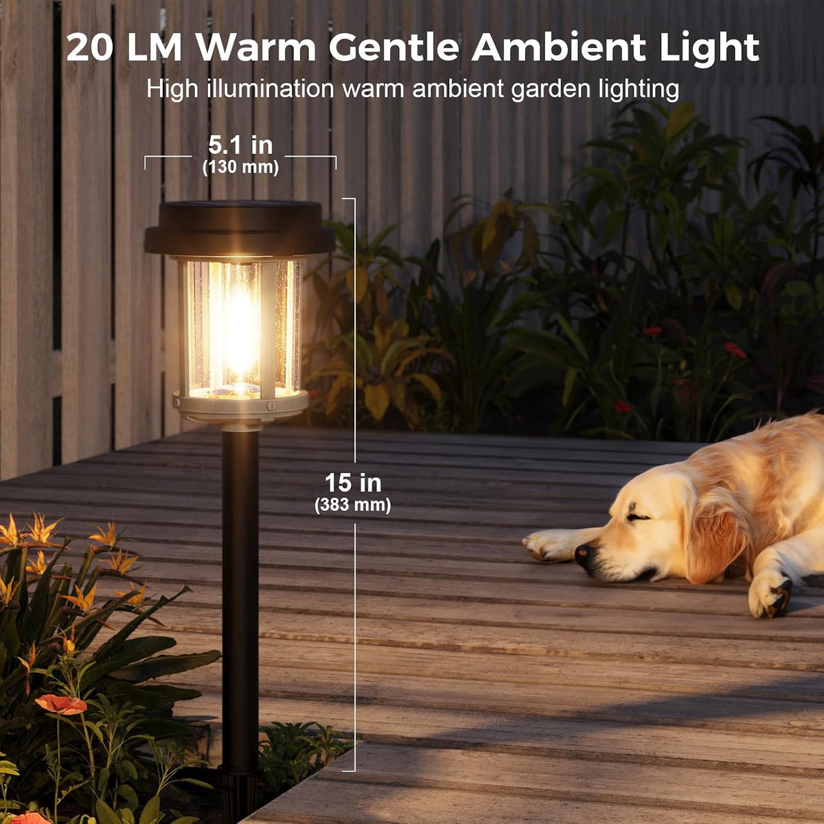 XMCOSY+ 6 Pack Solar Pathway Lights Outdoor, 20 LM Solar Lights for Garden