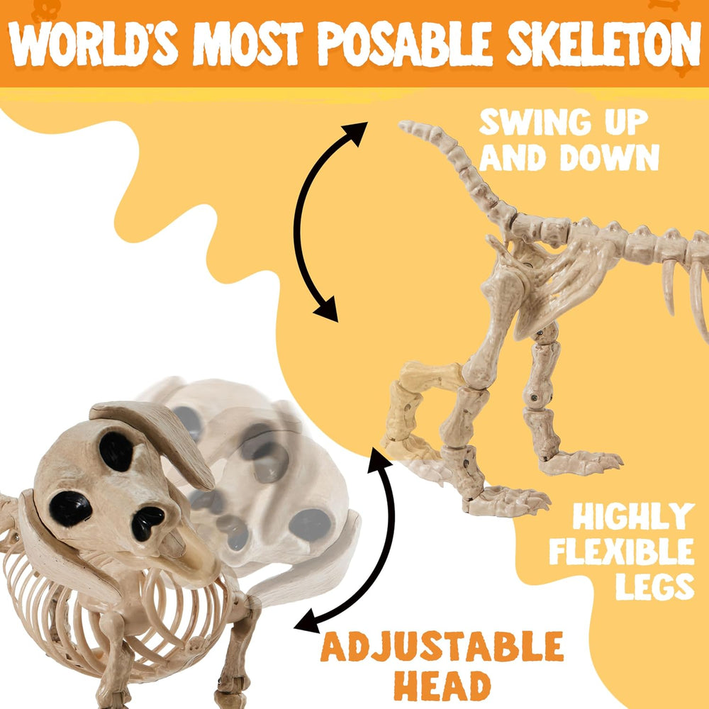 JOYIN Wiener Dog Skeleton 24” Plastic Animal Posable Skeleton Halloween Decor...