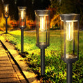 COXSENI Solar Pathway Lights Outdoor Waterproof Warm White, 6 Pack