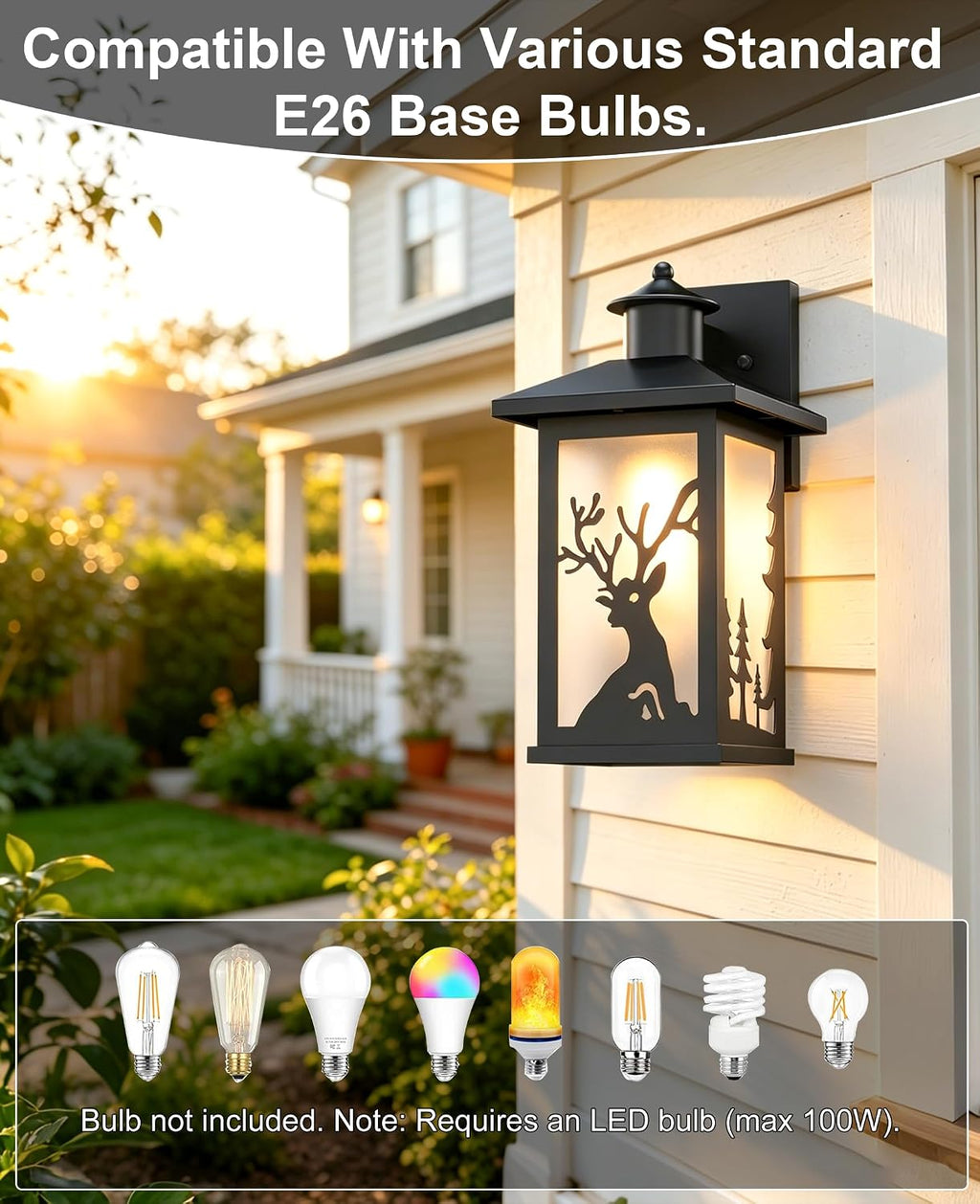 JAYNLT Rustic Porch Light,Outdoor Lights for House,Patio,Front Door,2Pack
