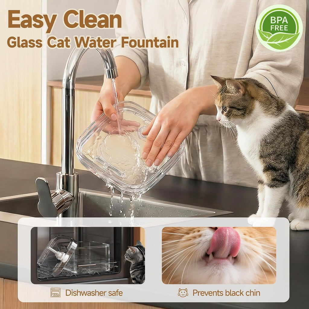 PETTEN Glass Cat Water Fountain,Easy Clean,No Plastic(78oz/2.5L)