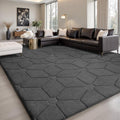 Sour Lemon 8x10 Area Rugs for Living Room Bedroom, Large Carpet Grey Rug