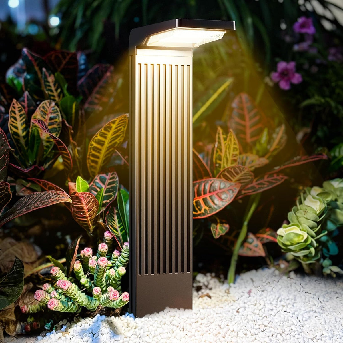 COXSENI Solar Pathway Lights Outdoor Warm/Cool White, 4Pack