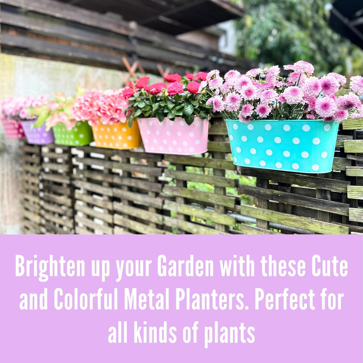 LaLaGreen Colorful Rail Planter (17 in, 6 Pack) Polka Dot Metal Deck Pots