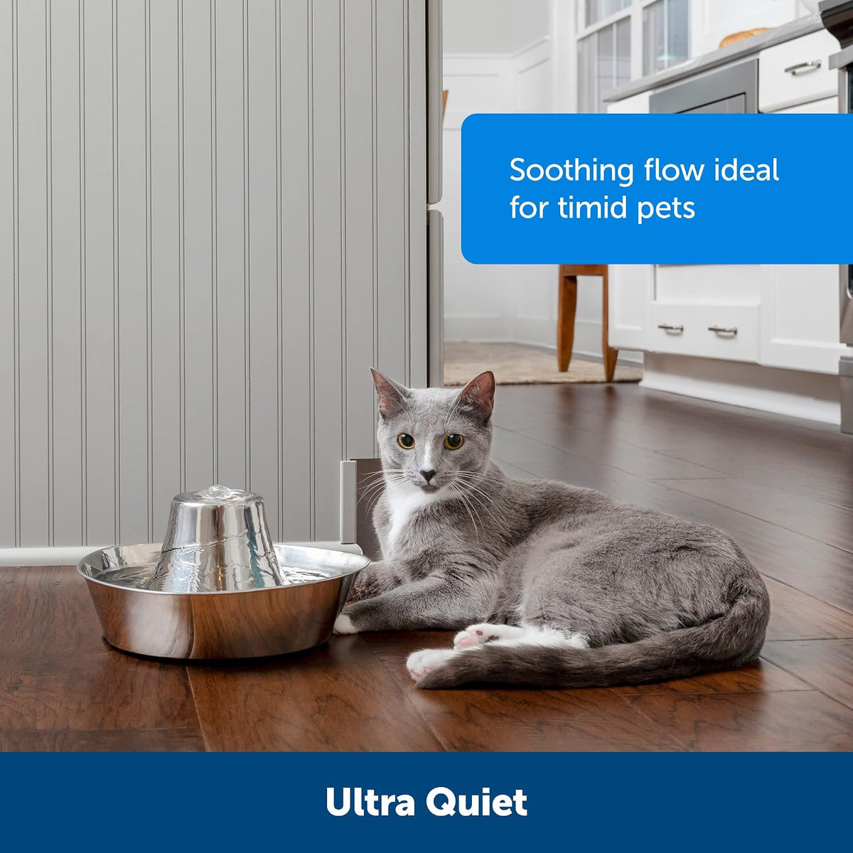 PetSafe Seaside Stainless Cat & Dog Fountain, 60 oz, 2 Filters & Pump