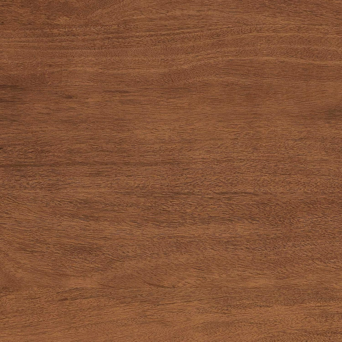 Modway Amistad 72" Solid Wood Modern Farmhouse Rectangular Dining Table in Walnut