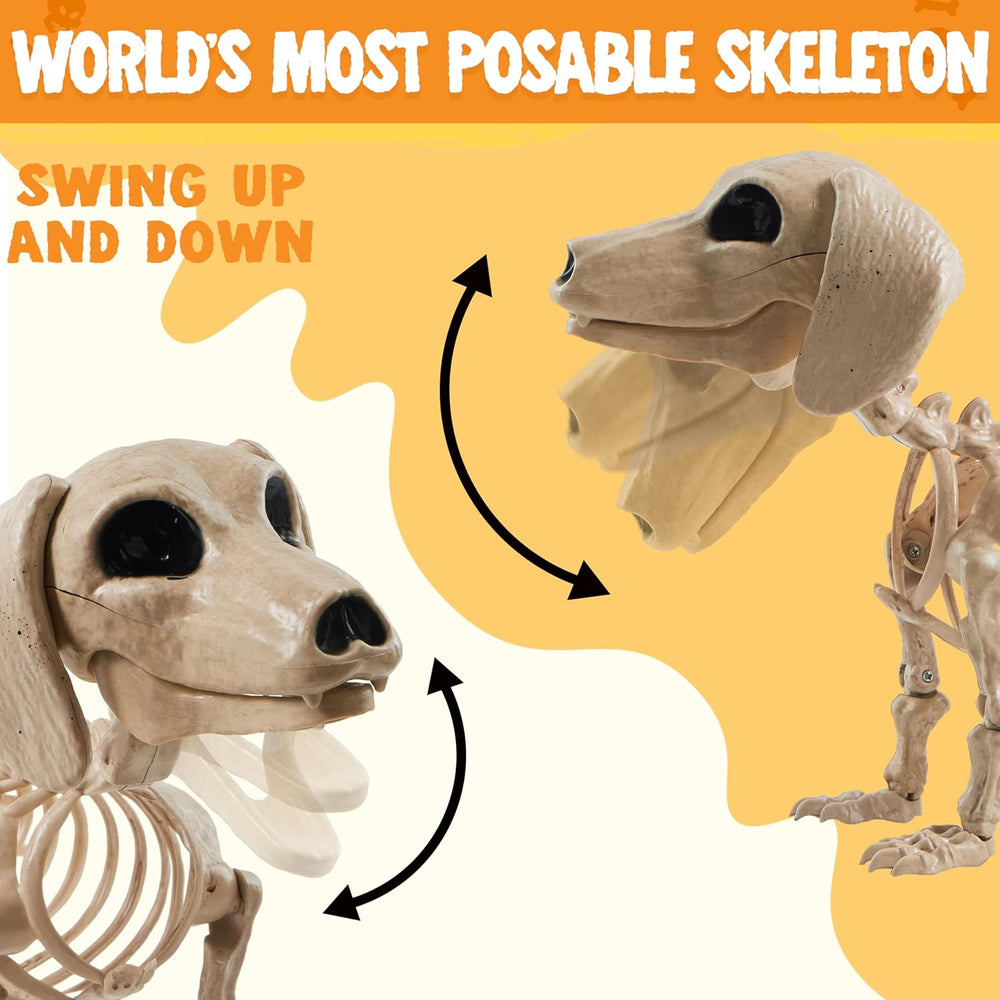 JOYIN Wiener Dog Skeleton 24” Plastic Animal Posable Skeleton Halloween Decor...