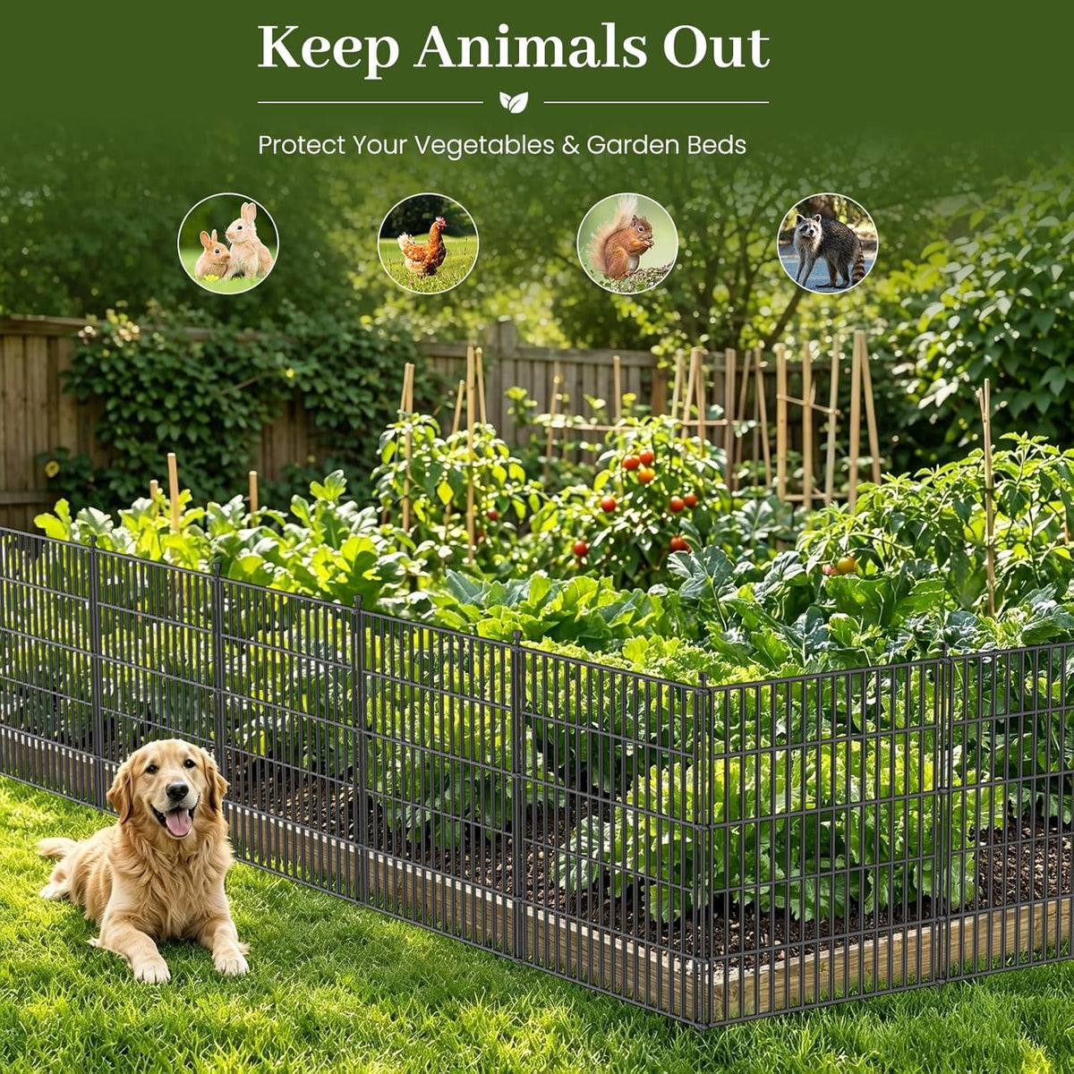 No Dig Garden Fence Outdoor for Yard, 32in (H) x 23.6ft(L)