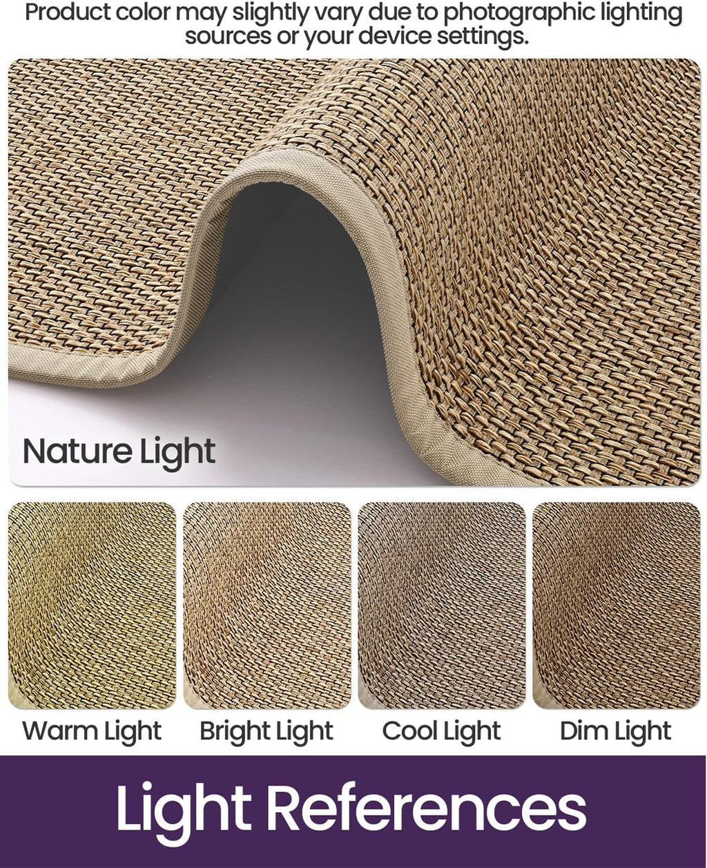 DEXI Ultra Thin Indoor Door Mat 24x36, Entrance Doormats, Beige