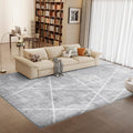 Vamcheer Modern Area Rug for Living Room 10x14,10mm Thick Sponge Grey White
