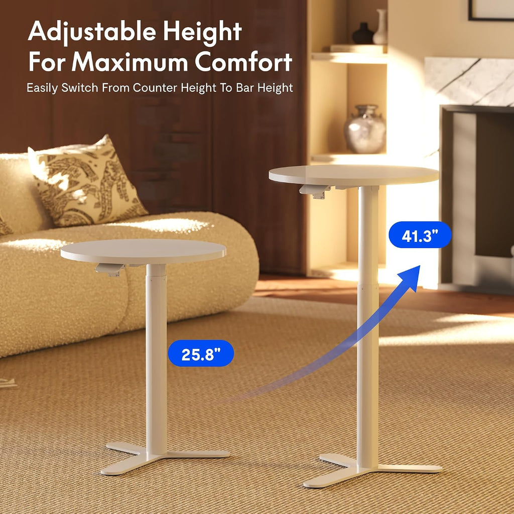 FLEXISPOT Gas Spring Lift Sit-to-Stand Table,20" Round Bar Table