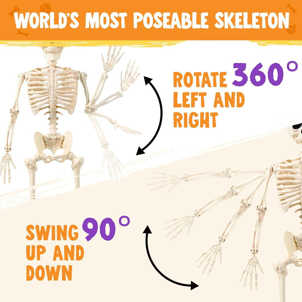JOYIN 36" Halloween Skeleton Decor, 3FT Full Body Realistic Bones with S...