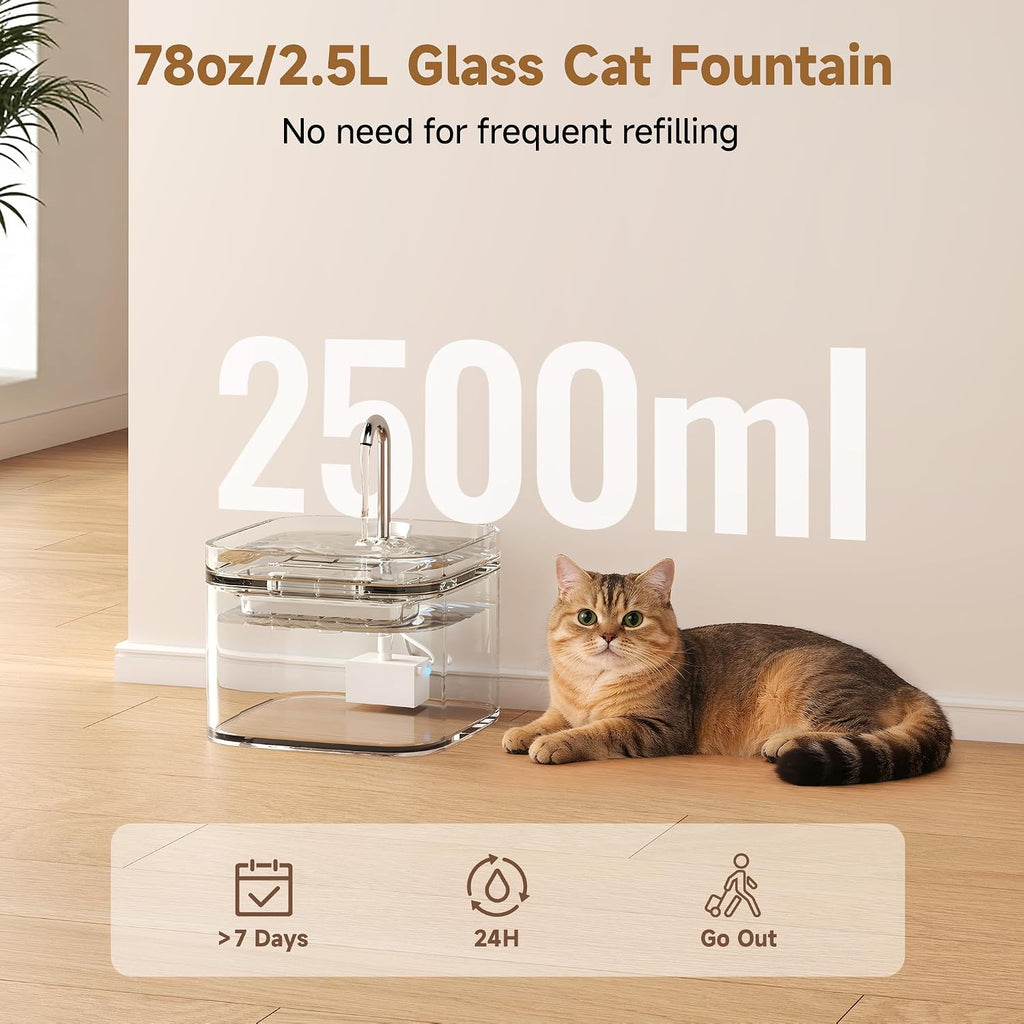 PETTEN Glass Cat Water Fountain,Easy Clean,No Plastic(78oz/2.5L)