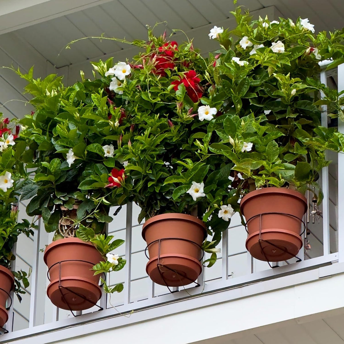 Bloem RailScapes Adjustable Floating Planter Hanger, Fits 0.5”-0.75” Balcony Railing Spindles, 3-Pack