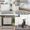 Buganda Indoor Door Mat, Dirt-Resistant and Absorbent Doormat, Anti-Slip, Low Profile Floor Mats for Inside Entryway, Front, and Back Door Entrance (40x32 Inches, Grey)