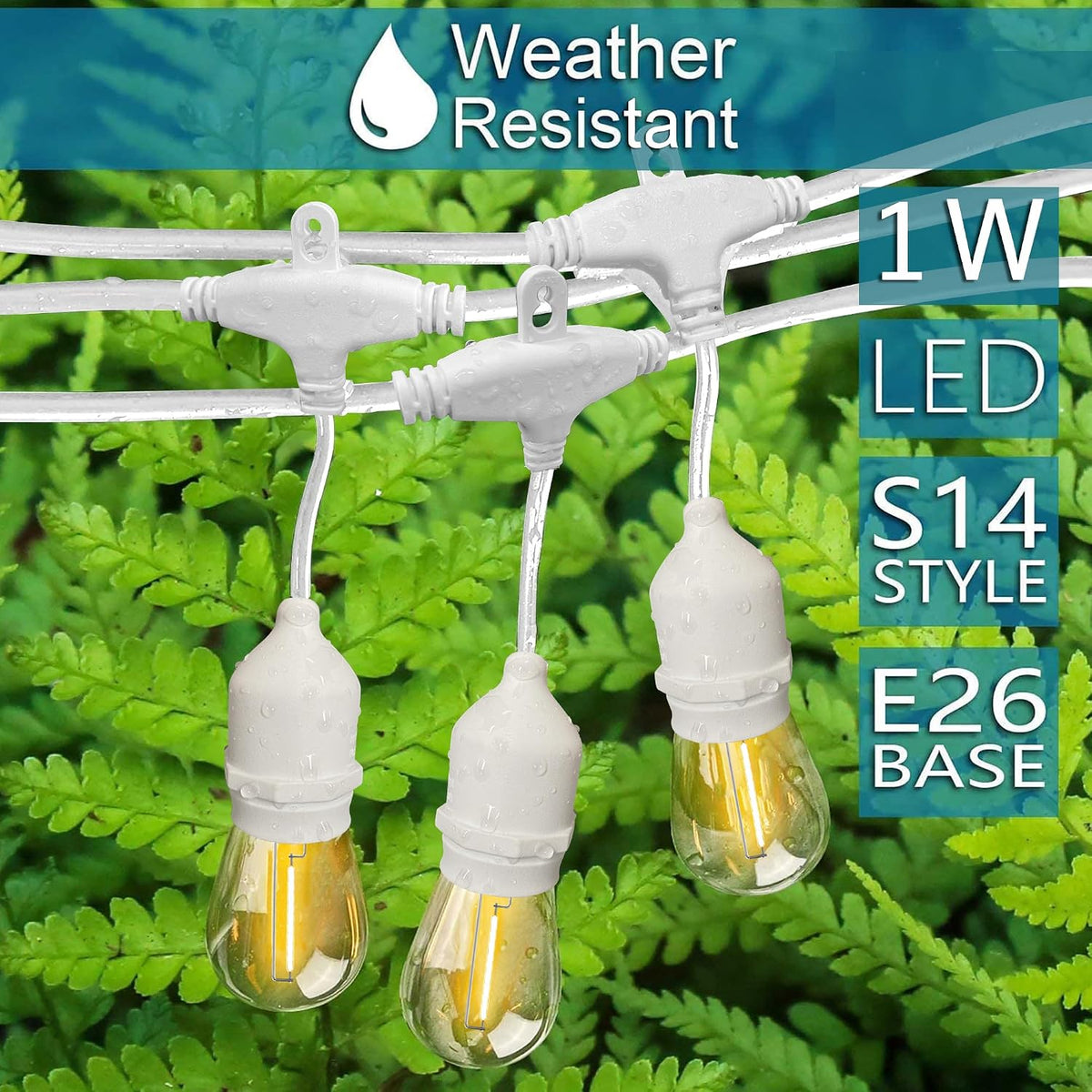 Banord 50FT Outdoor String Lights, S14 Waterproof Patio Lighting, White