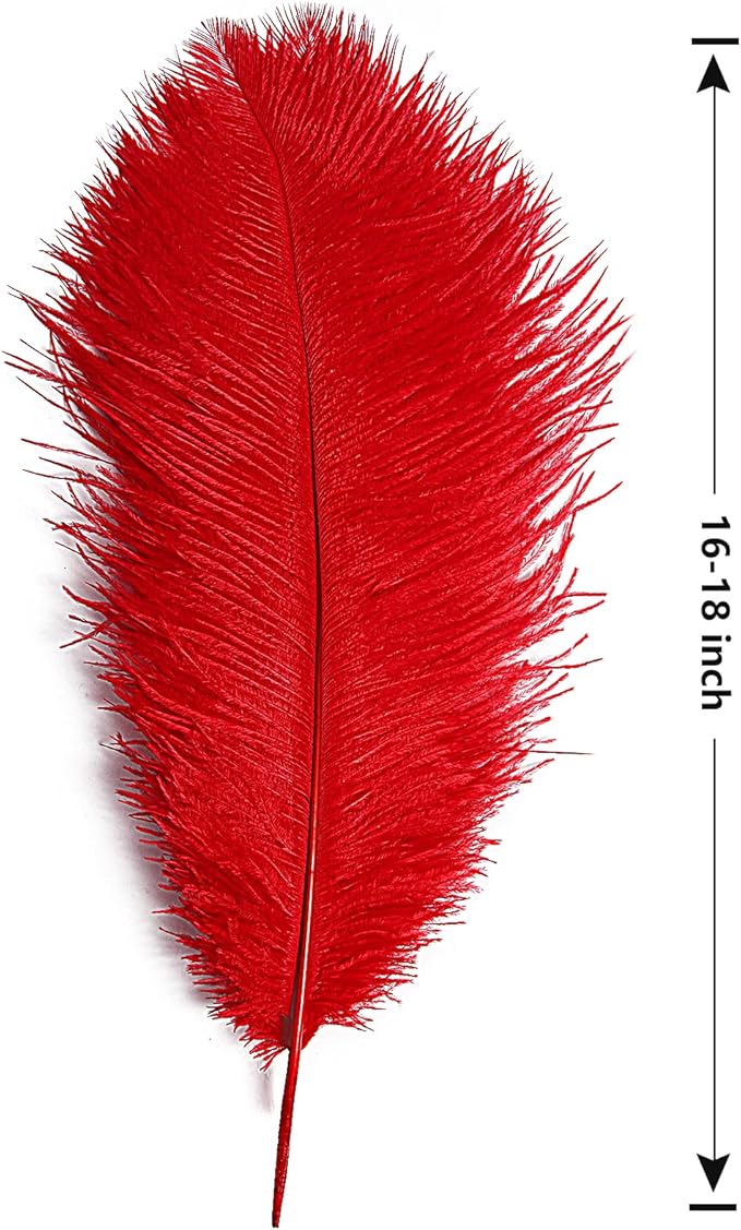 THARAHT Red Ostrich Feathers 12pcs Large Natural Bulk 16-18Inch 40cm-45cm for Wedding Party Centerpieces Halloween and Home Decoration Feathers