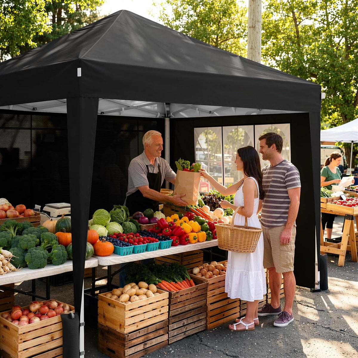 driftalia 10x10 pop up canopy tent with 4 on a desk or shelf