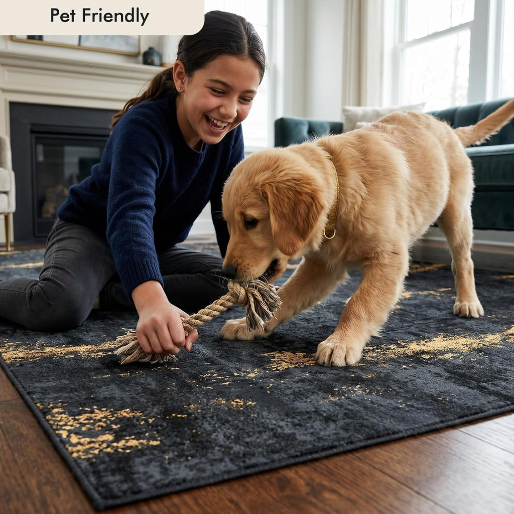 Fixwal Washable 6x9 Area Rug for Living Room, Non-Slip, Black/Gold