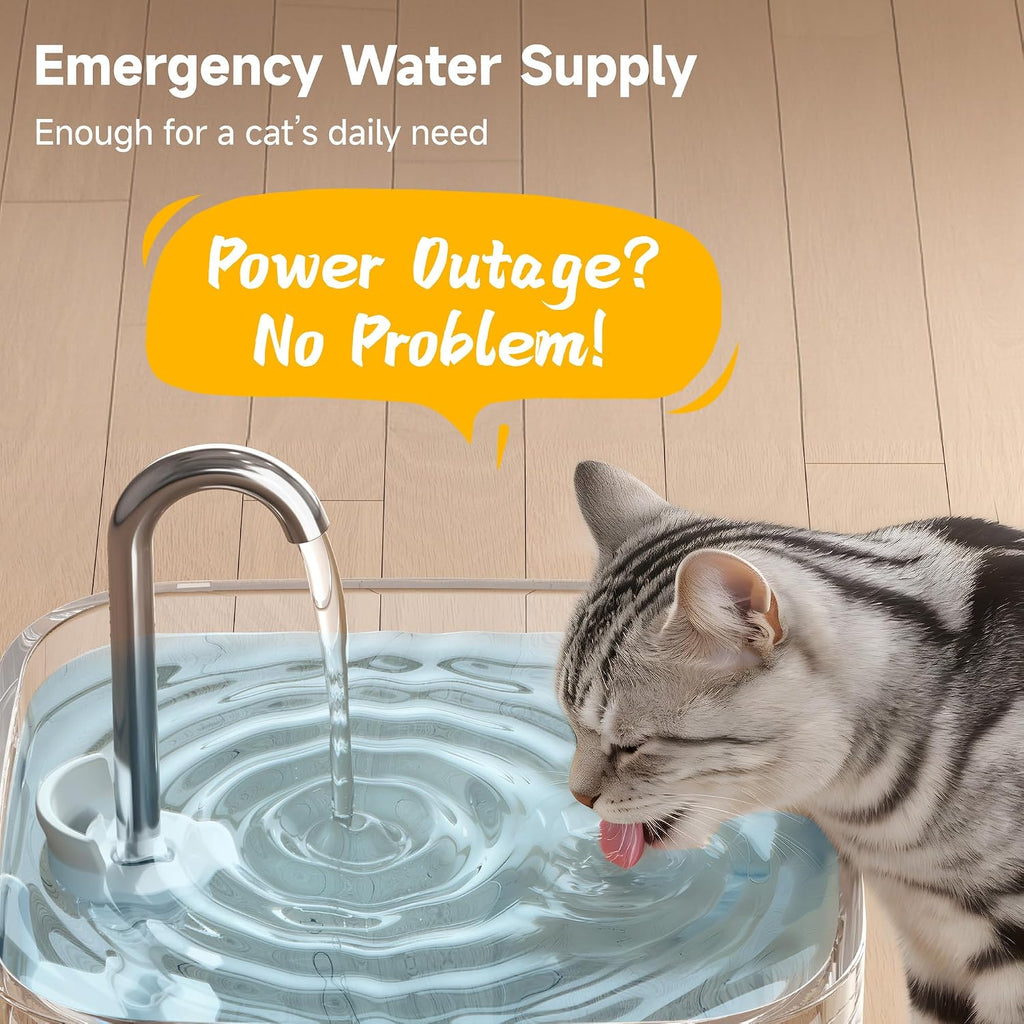 PETTEN Glass Cat Water Fountain,Easy Clean,No Plastic(78oz/2.5L)
