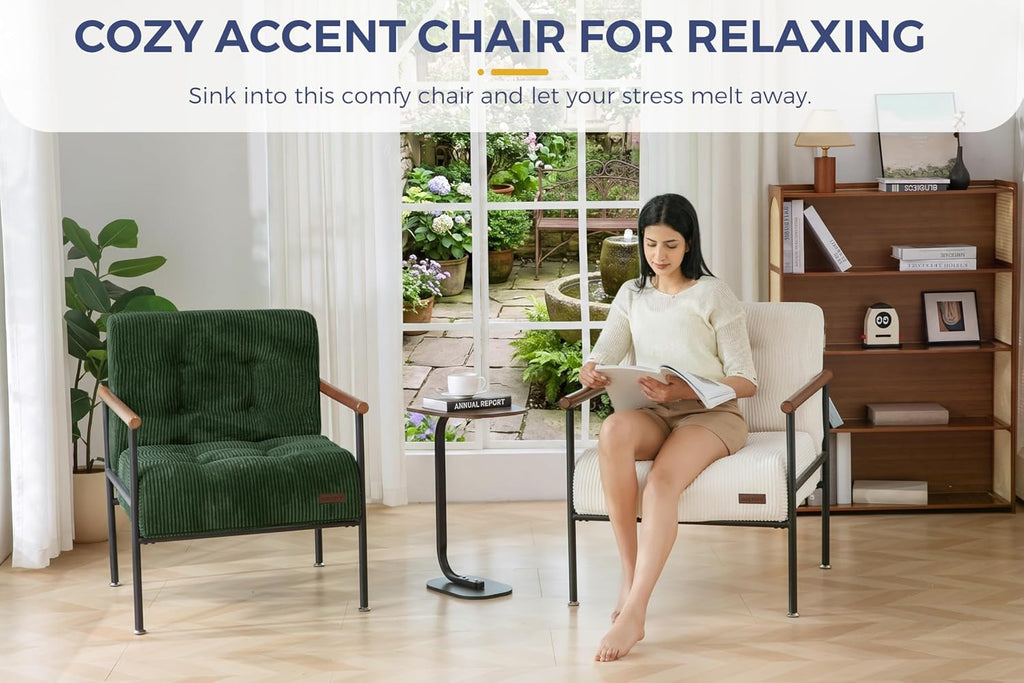 MAXYOYO Living Room Accent Chair, Modern Chair with Metal Frame