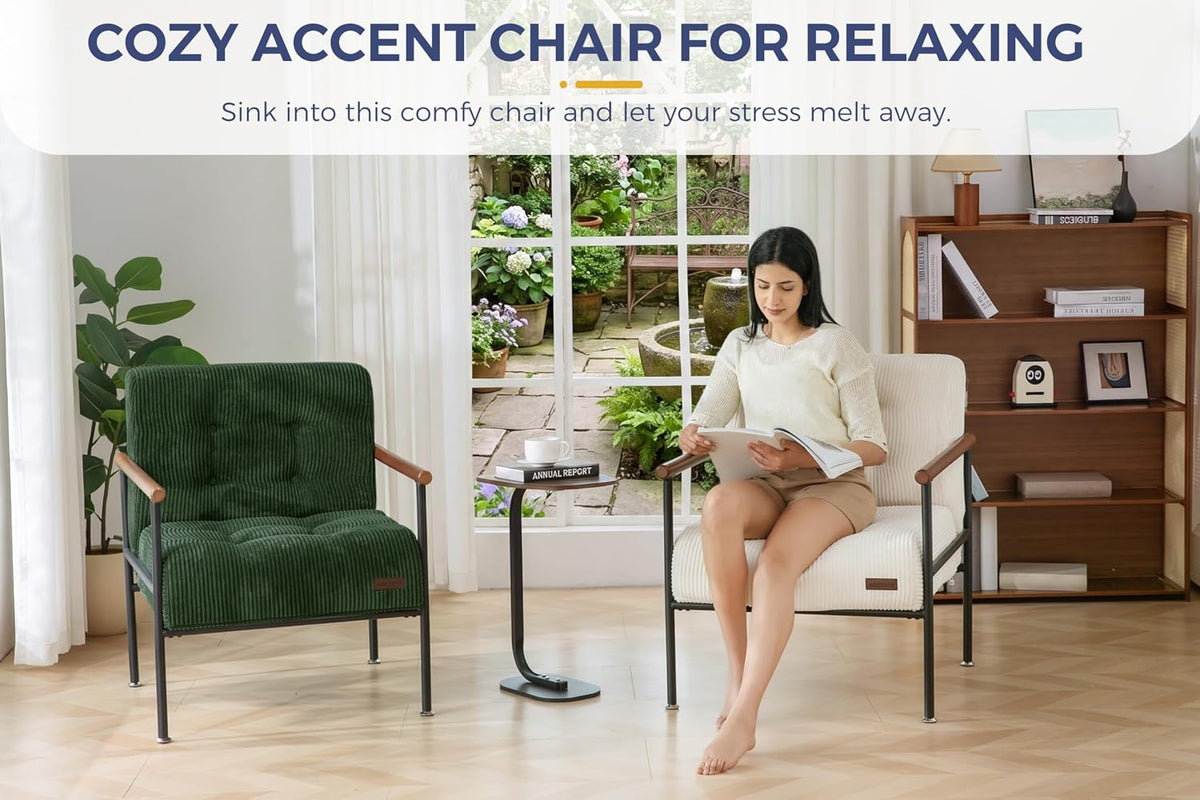 MAXYOYO Living Room Accent Chair, Modern Chair with Metal Frame