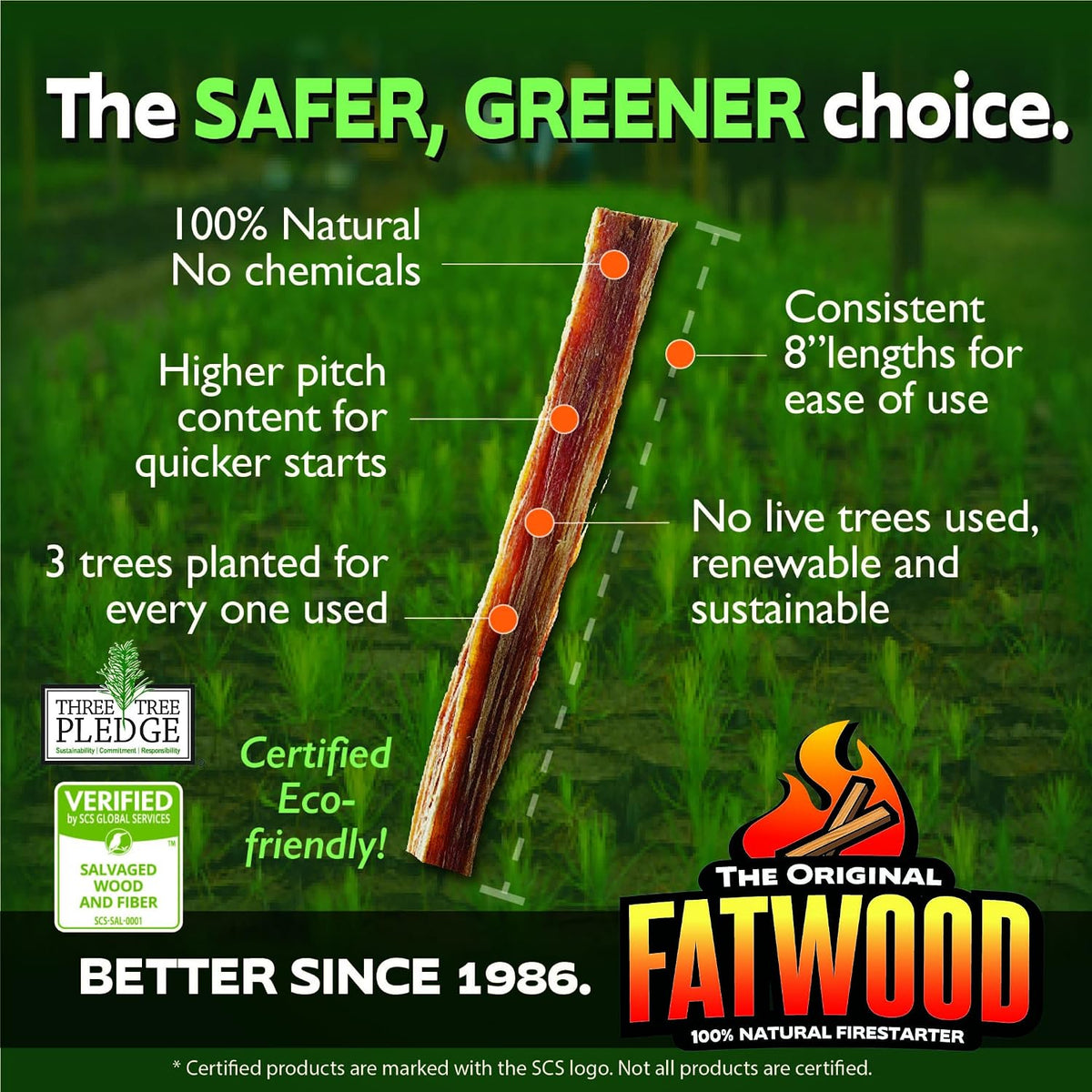 BetterWood Products Natural Pine Fatwood Fire Starter Burlap Bag, 10 Lb