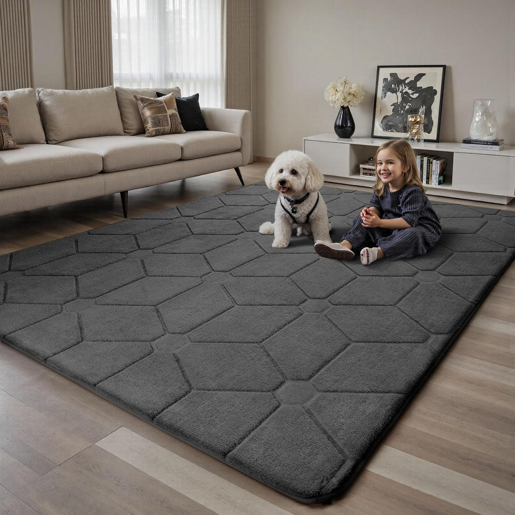 Sour Lemon Area Rugs 9x12 Living Room Bedroom, Large Carpet Grey Rug