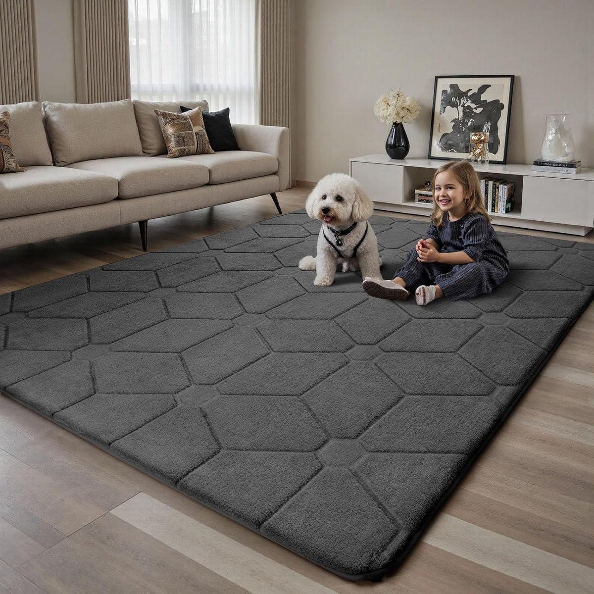 Sour Lemon Area Rugs 9x12 Living Room Bedroom, Large Carpet Grey Rug