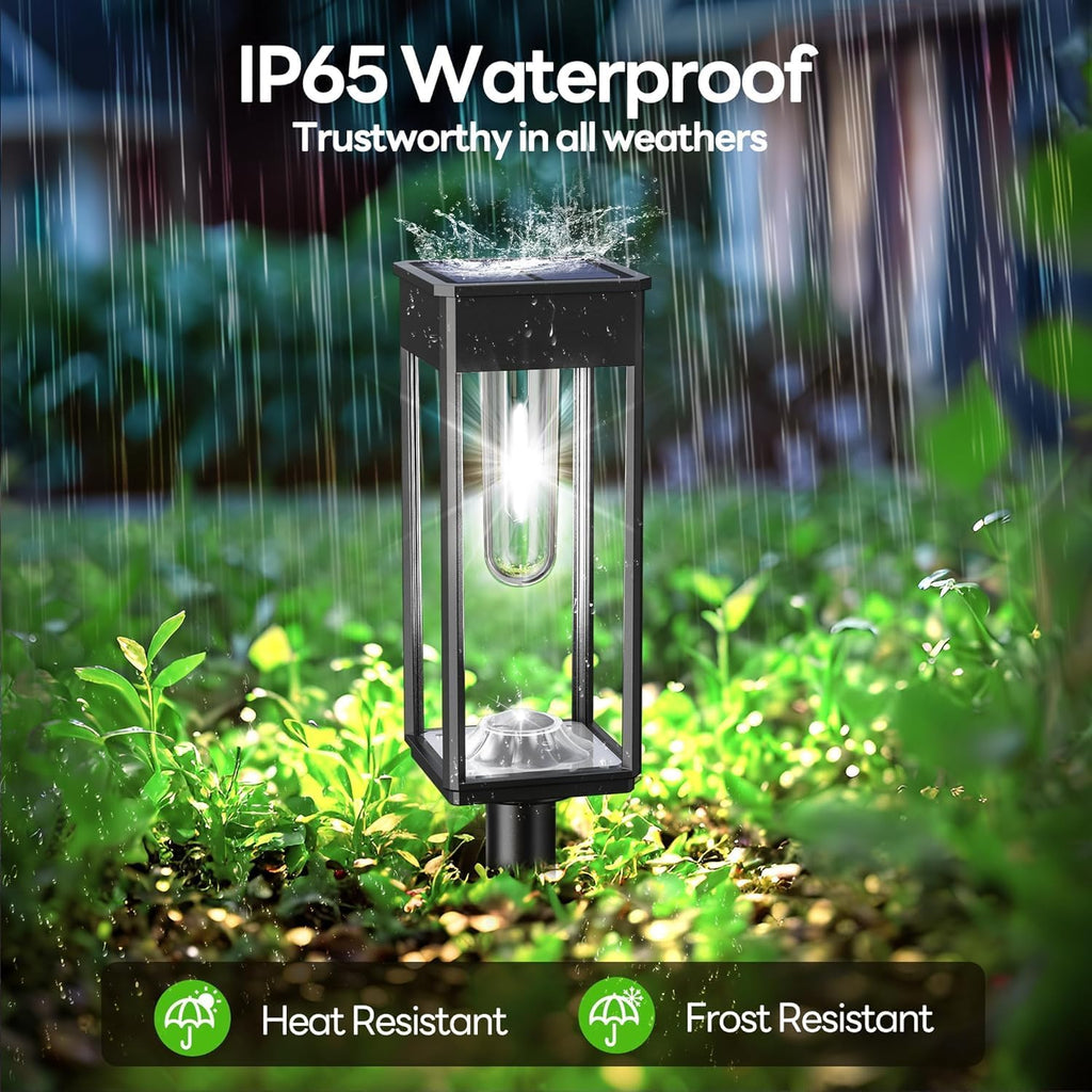 COXSENI Solar Path Lights Outdoor Waterproof 6500K Cool White, 6 Pack