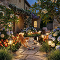 XMCOSY+ Solar Pathway Lights Outdoor 6 Pack, 10/25 LM Solar Yard Lights
