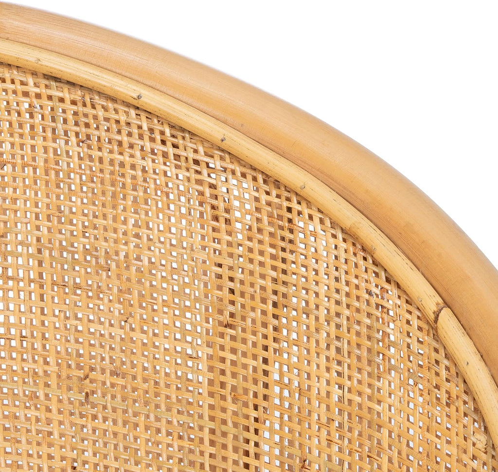 Safavieh Home Collection Dustin Rattan Cushion Accent Chair, Natural/White
