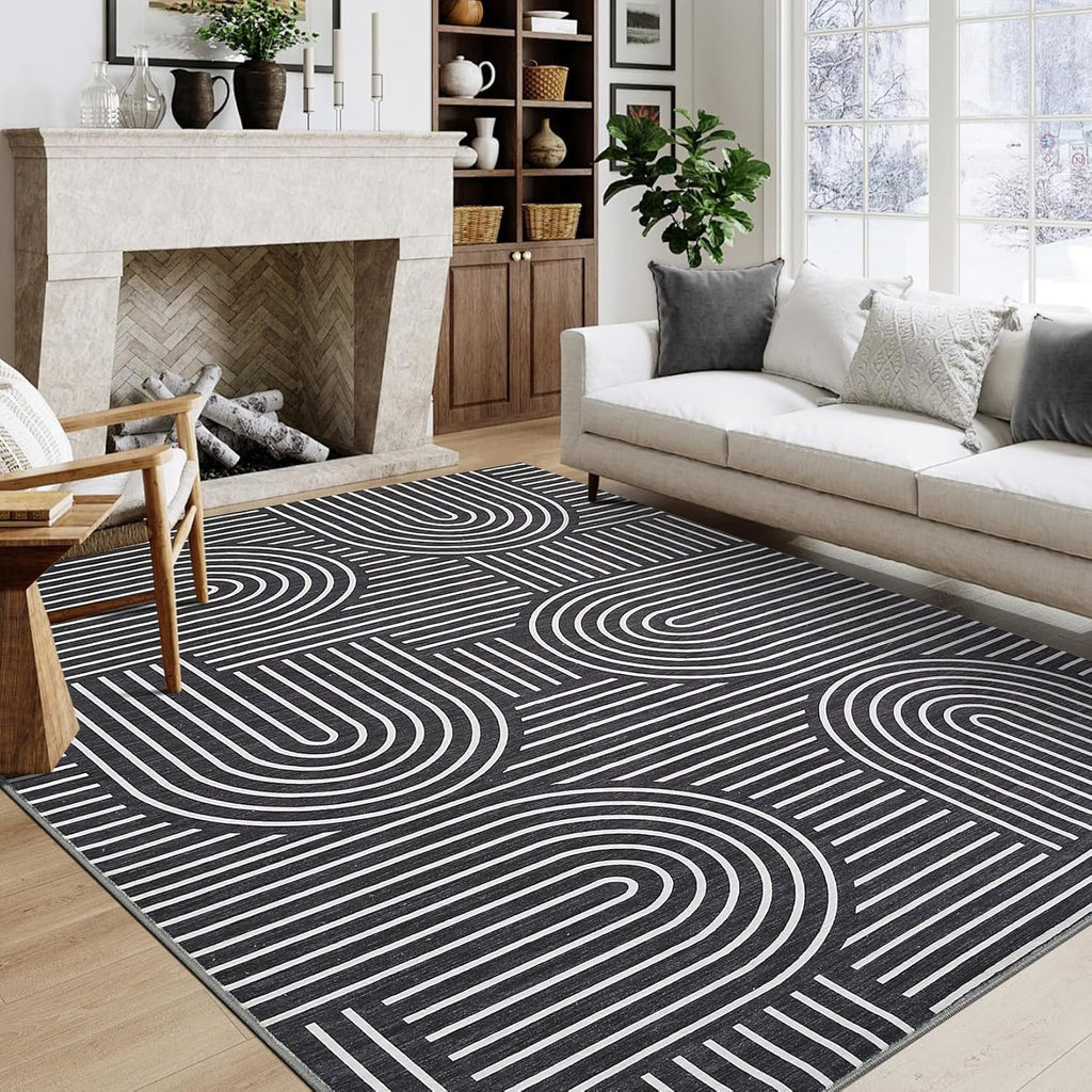 ROYHOME Modern Washable Rug 5x7 Area Rugs for Living Room Non Slip, Black