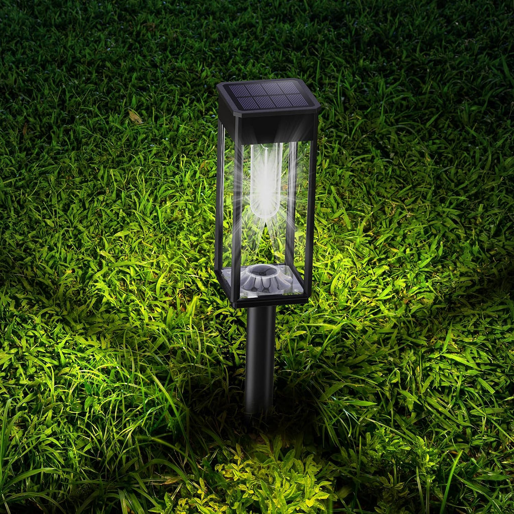COXSENI Solar Path Lights Outdoor Waterproof 6500K Cool White, 6 Pack