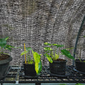 6'x100ft 40% Eyelets Shade Cloth Roll