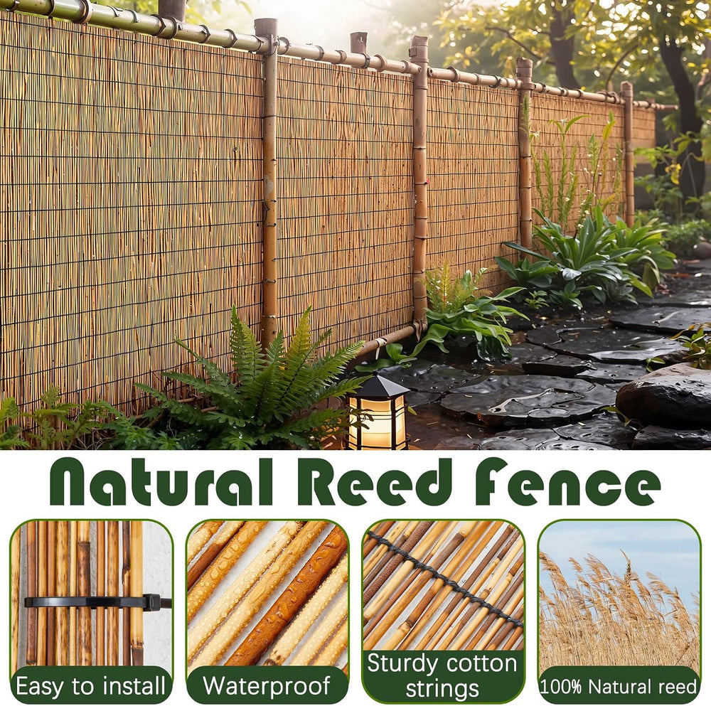 Barydat 1 Pcs 4 x 16.4 ft Reed Fence Roller