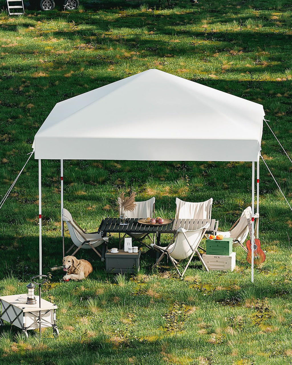 Garvee 10x10 Pop Up Canopy, Beach Ten with One Push Setup, Pure White