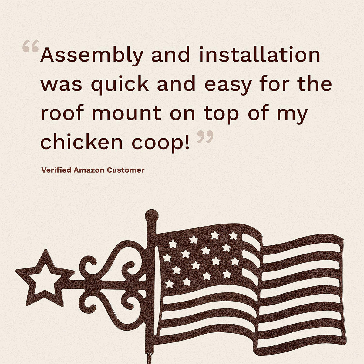 EZ Vane Steel USA Flag Weathervane with Wind Cups — Roof Mount