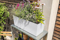 Lechuza BALCONERA Stone 50 Quartz White, Self-Watering Window Box (Railing Planter), H7.5 L19.7 W7.5 in