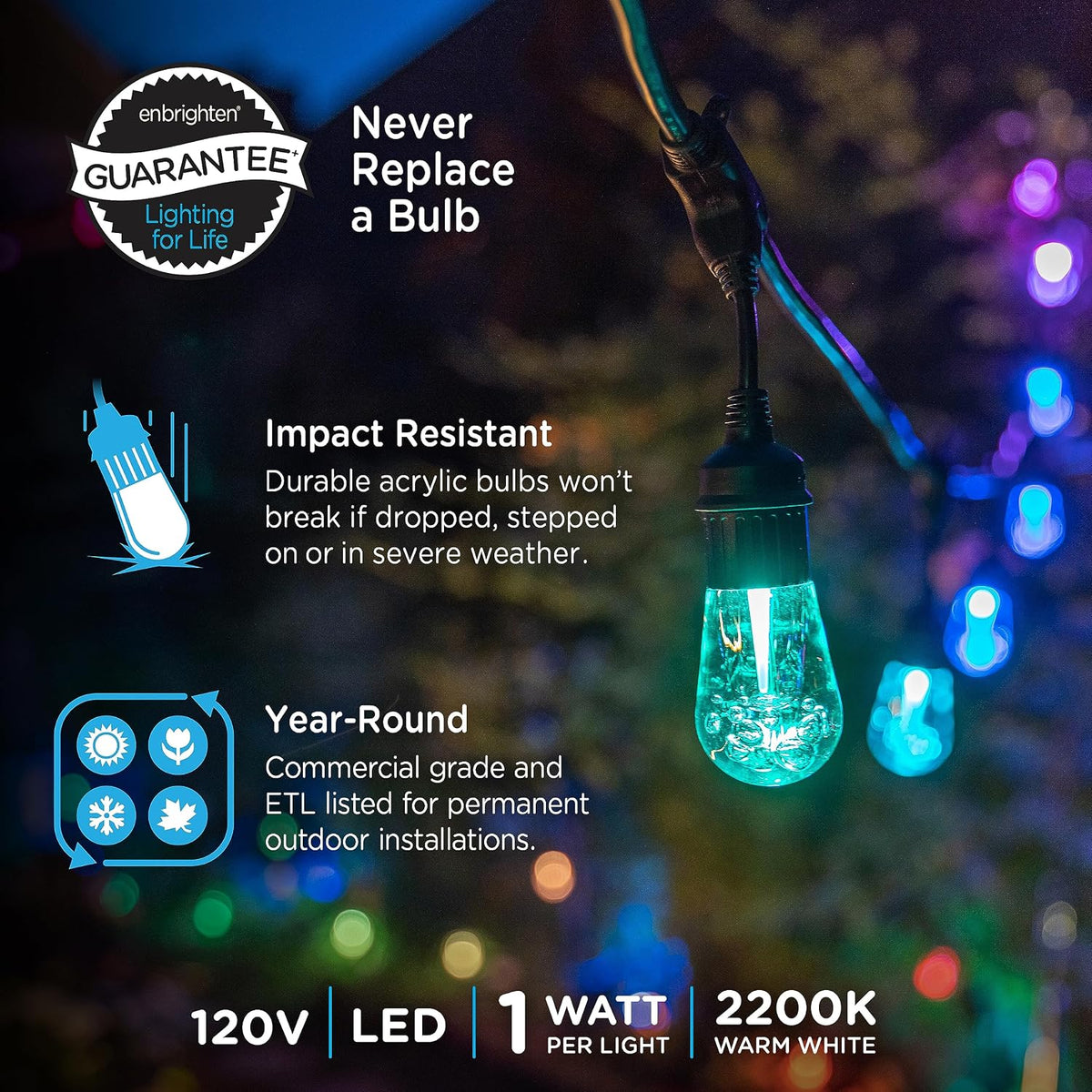 Enbrighten Vintage Outdoor String Lights, 24ft, 12 Bulbs, Remote Control