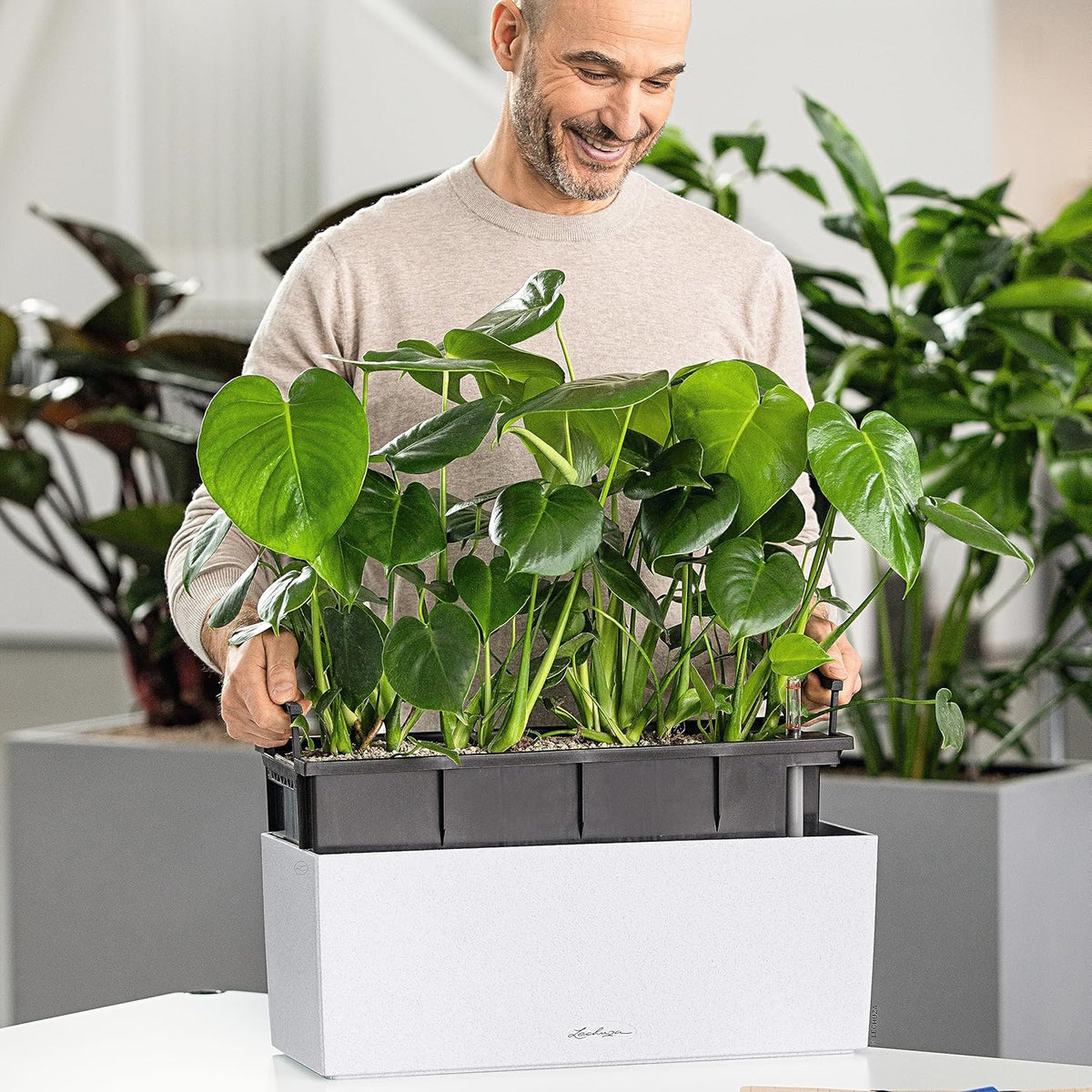 Lechuza BALCONERA Stone 50 Quartz White, Self-Watering Window Box (Railing Planter), H7.5 L19.7 W7.5 in